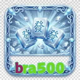 bra500